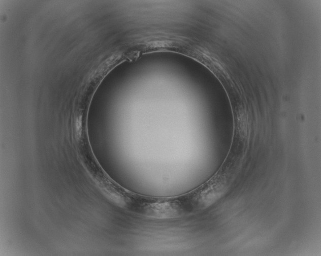 X0000073540406200608071100