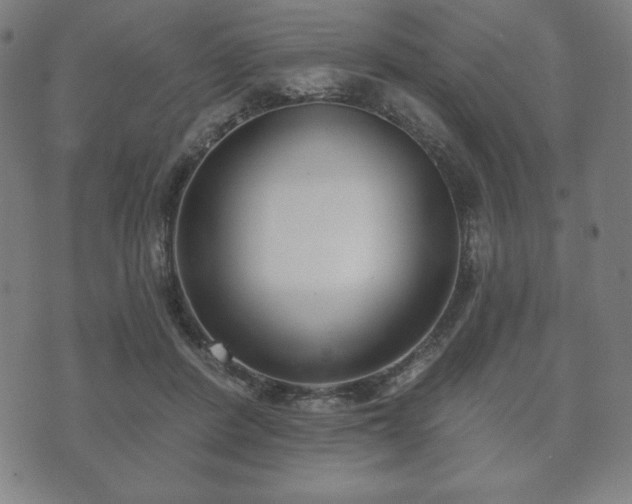 X0000073540408200608071100