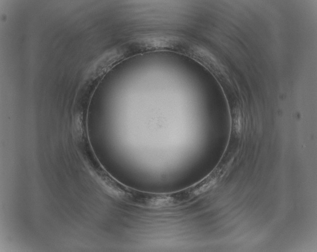 X0000073540410200608071100