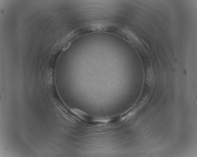 X0000073540413200608071100