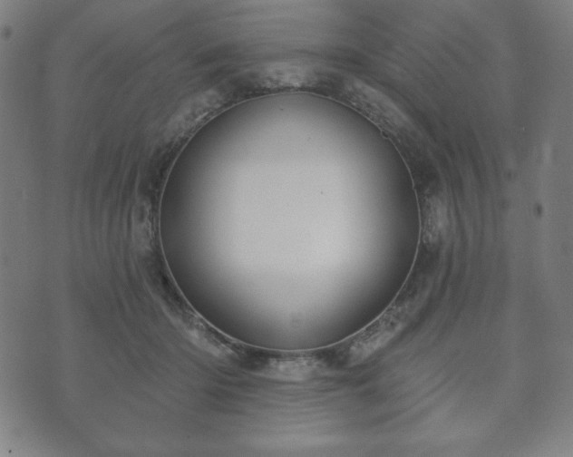 X0000073540414200608071100