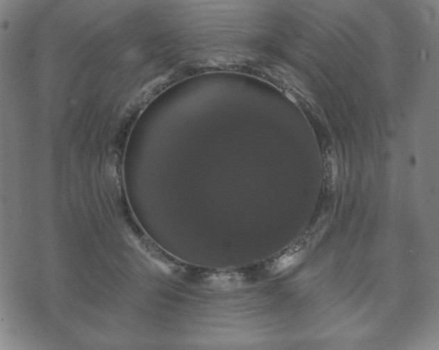X0000073540415200608071100