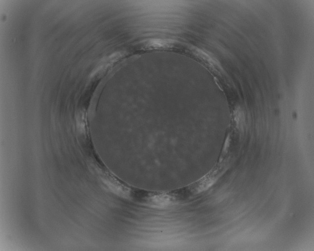 X0000073540423200608071100