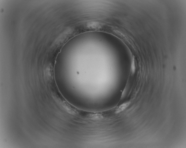 X0000073540424200608071100