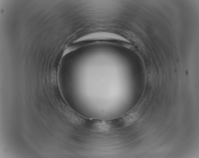 X0000073540425200608071100