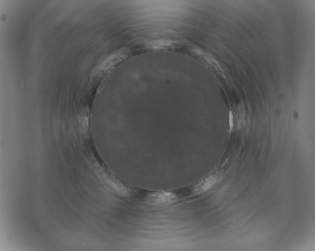 X0000073540427200608071100