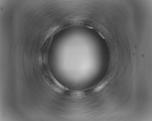 X0000073540432200608071100