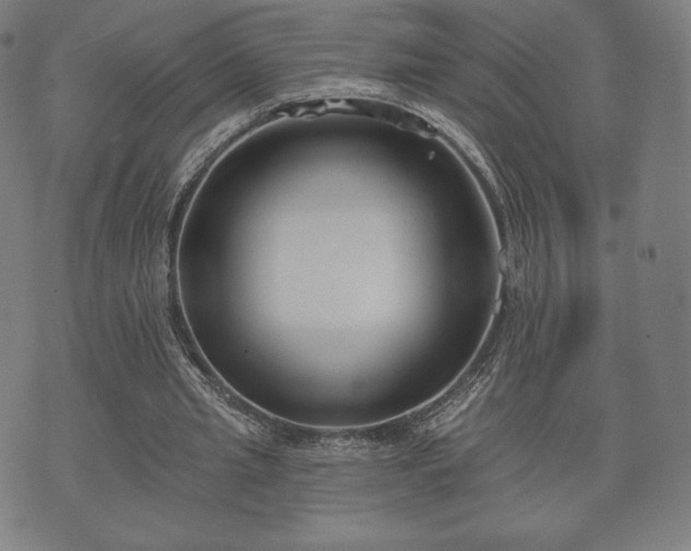 X0000073540437200608071059
