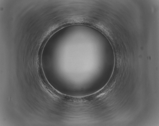 X0000073540439200608071059