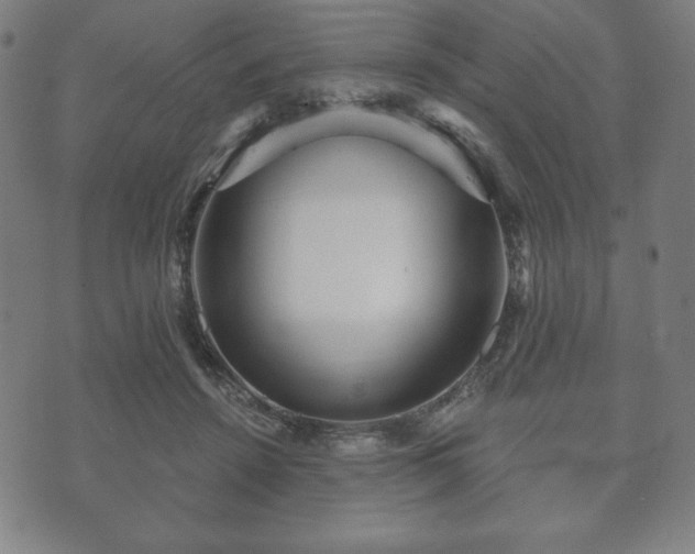 X0000073540456200608071100