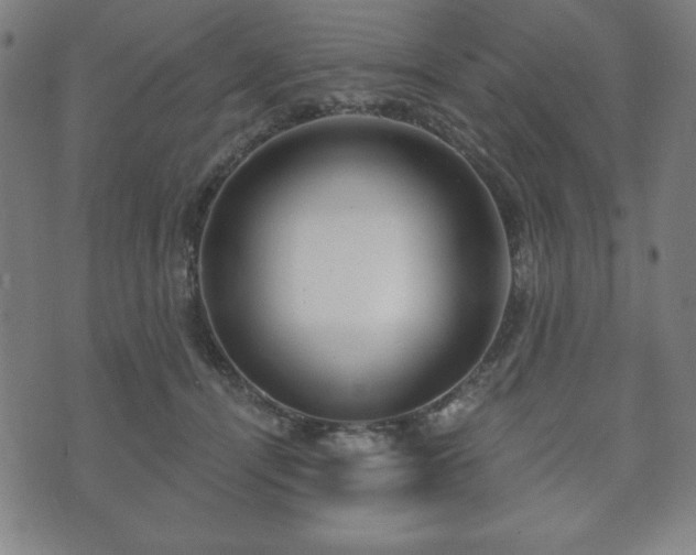 X0000073540464200608071100