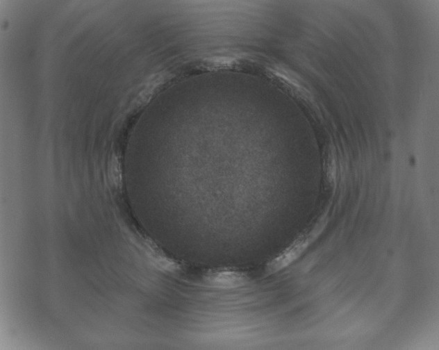 X0000073540467200608071100