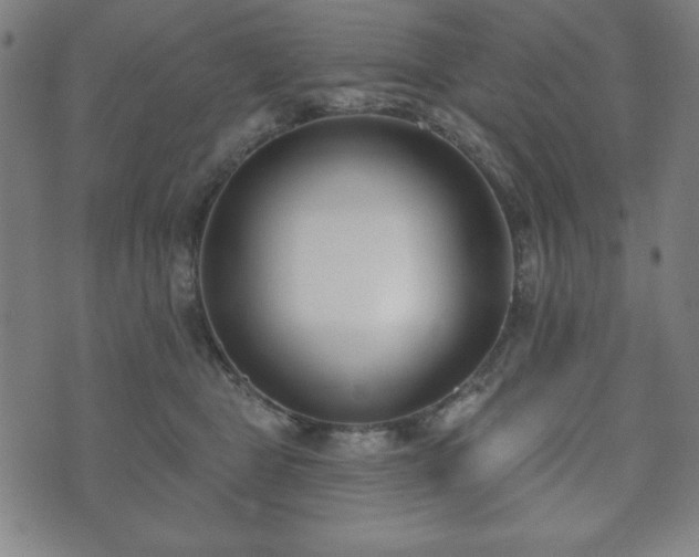 X0000073540469200608071100