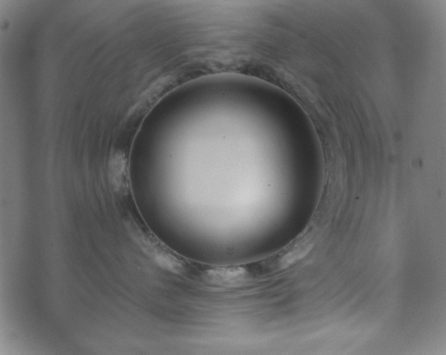 X0000073540480200608071100