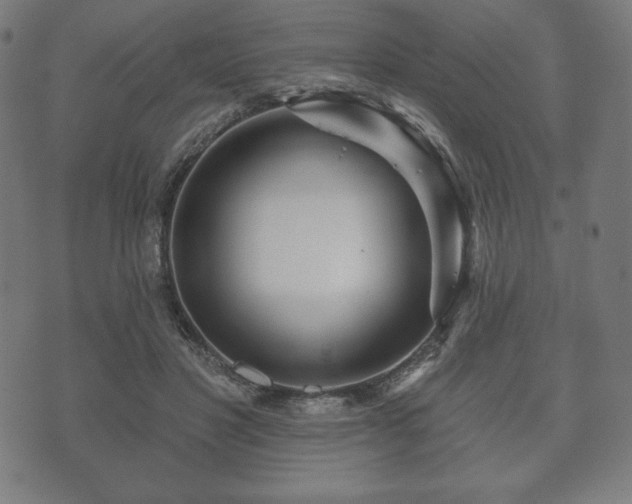 X0000073540501200608071059