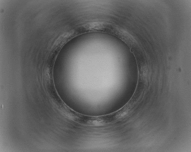 X0000073540506200608071059