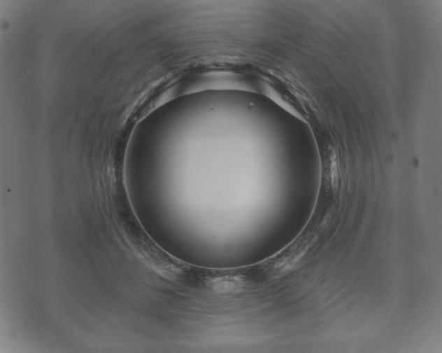 X0000073540508200608071059