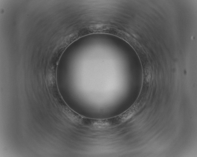 X0000073540515200608071059