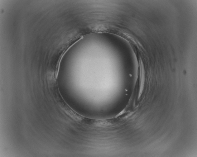 X0000073540521200608071059
