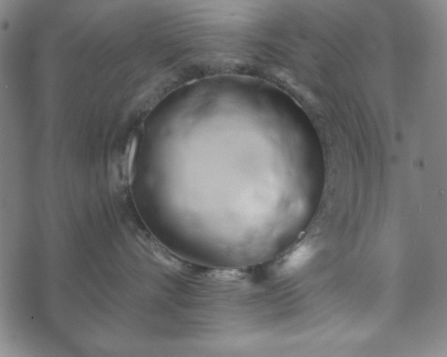 X0000073540528200608071058