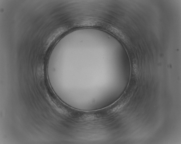 X0000073540534200608071058