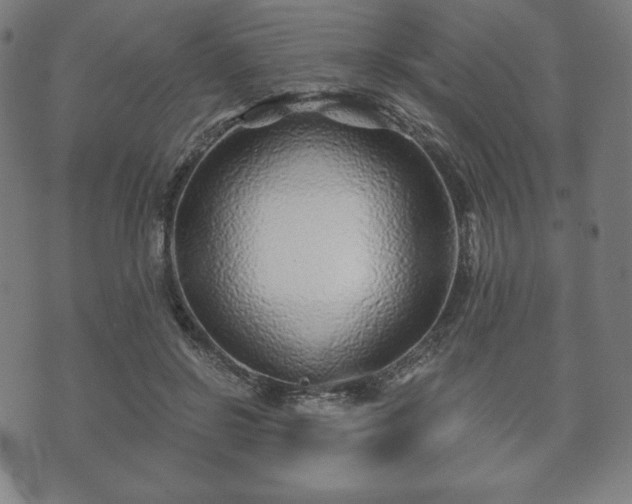 X0000073540550200608071058