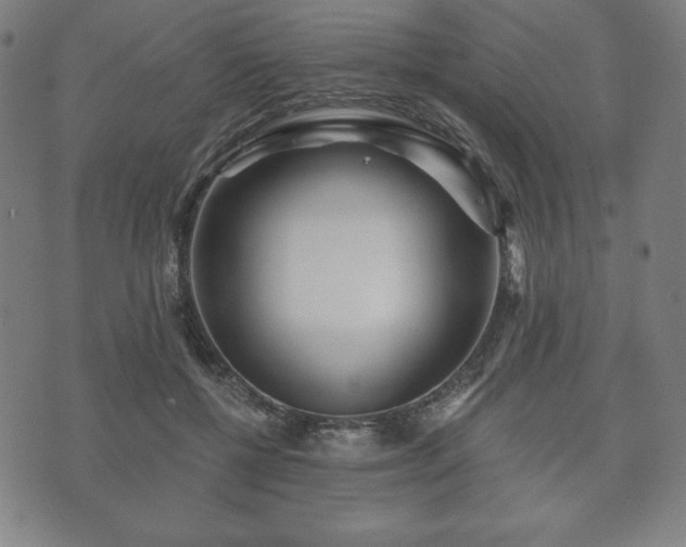 X0000073540552200608071058