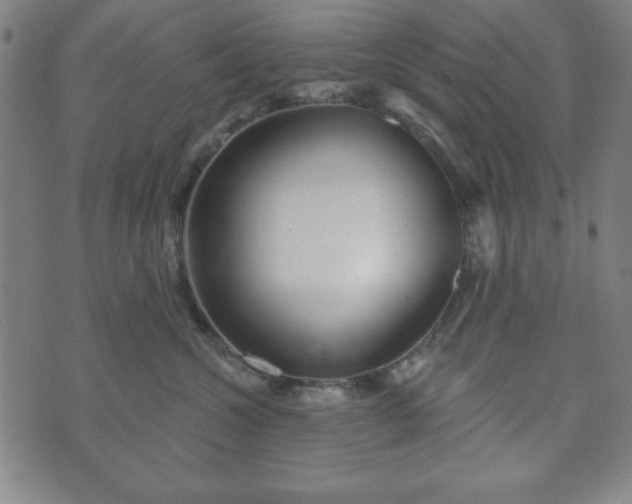 X0000073540572200608071058