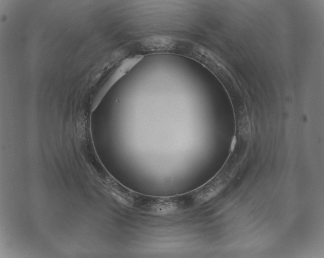 X0000073540604200608071057