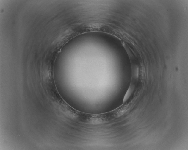 X0000073540608200608071057