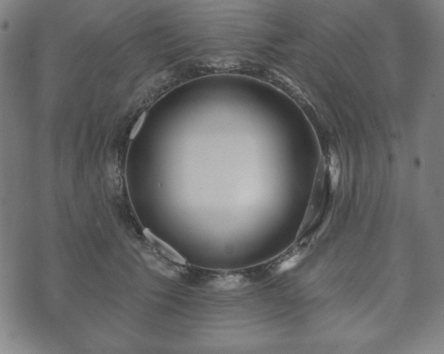 X0000073540609200608071057