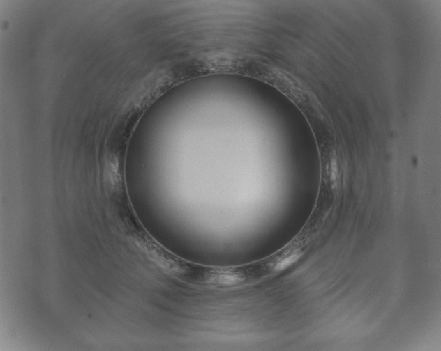X0000073540610200608071057