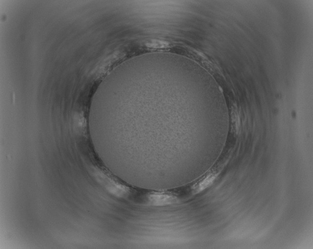X0000073540614200608071057