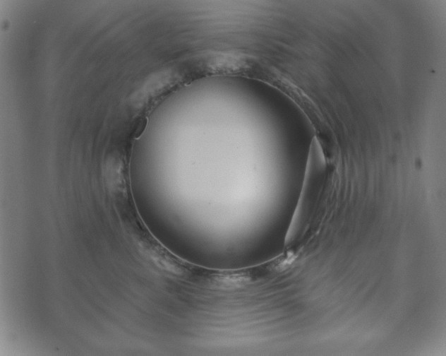 X0000073540619200608071057