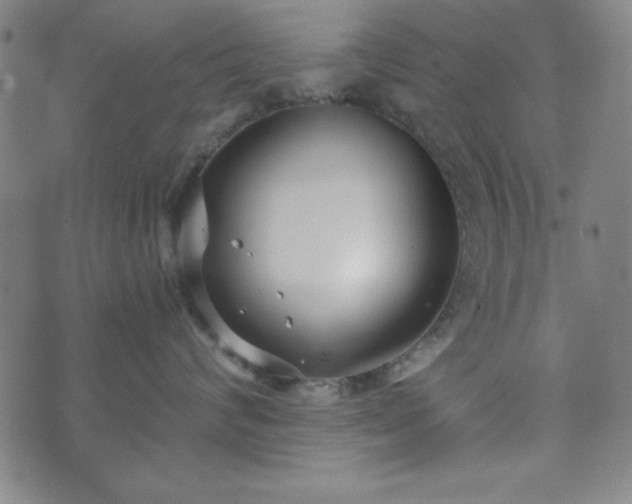 X0000073540624200608071057