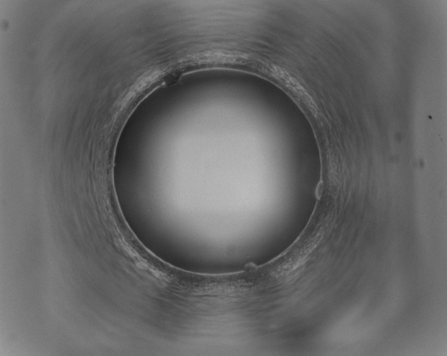 X0000073540625200608071056