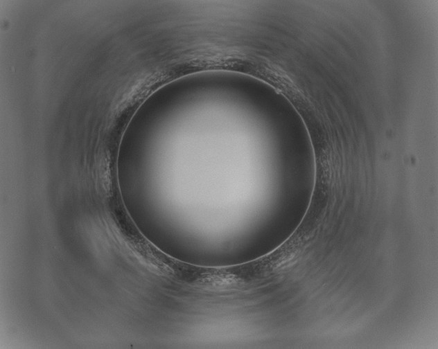 X0000073540642200608071056