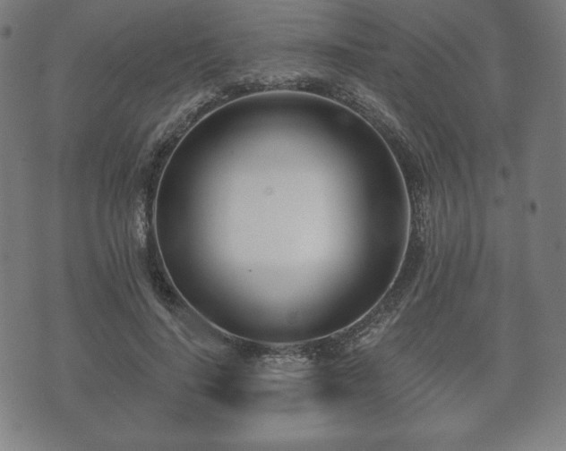 X0000073540644200608071056