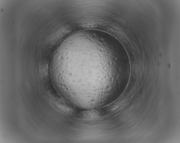X0000073540652200608071057