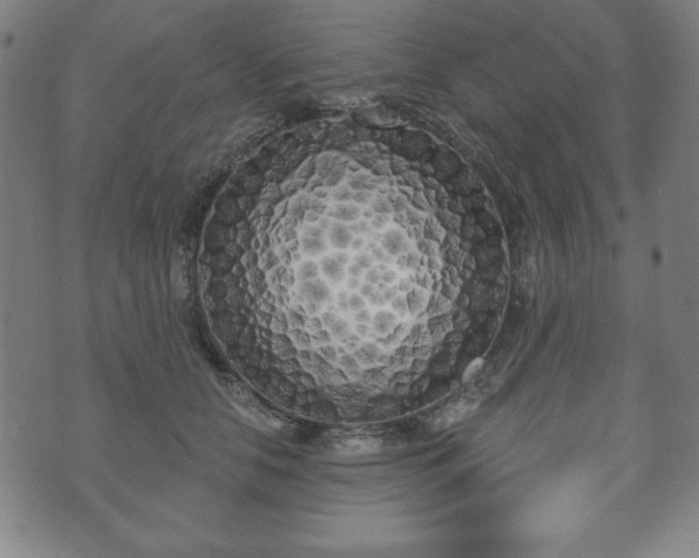 X0000073540658200608071057