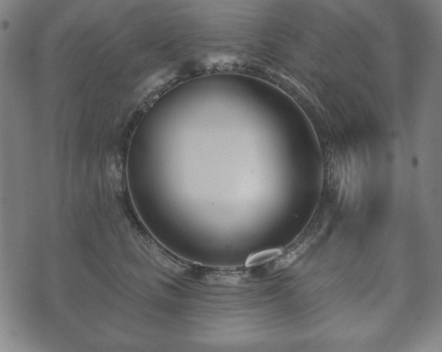 X0000073540661200608071057