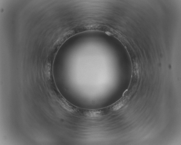 X0000073540664200608071057