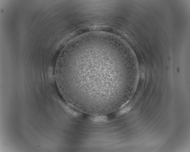 X0000073540670200608071057