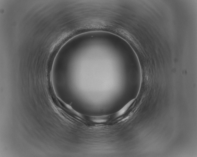 X0000073540677200608071056