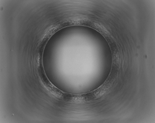 X0000073540694200608071056
