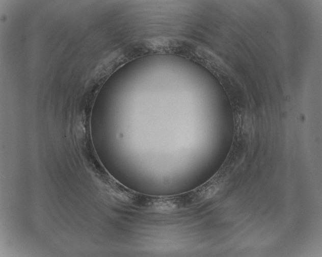 X0000073540702200608071056