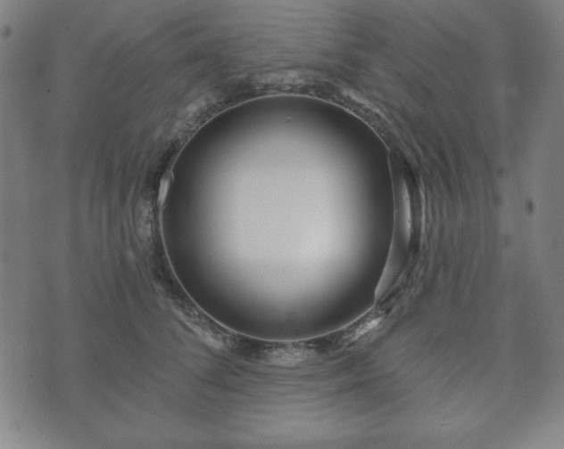 X0000073540708200608071056