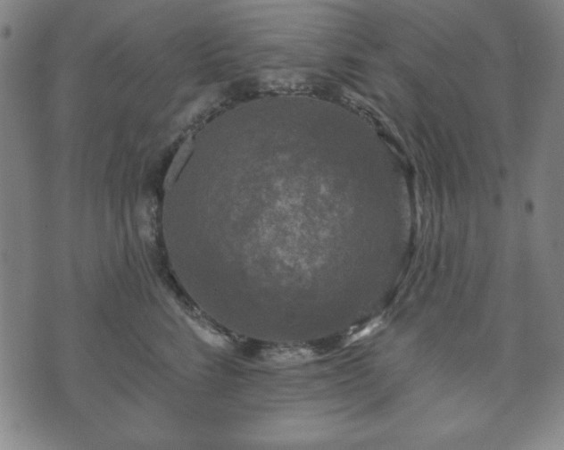 X0000073540712200608071055