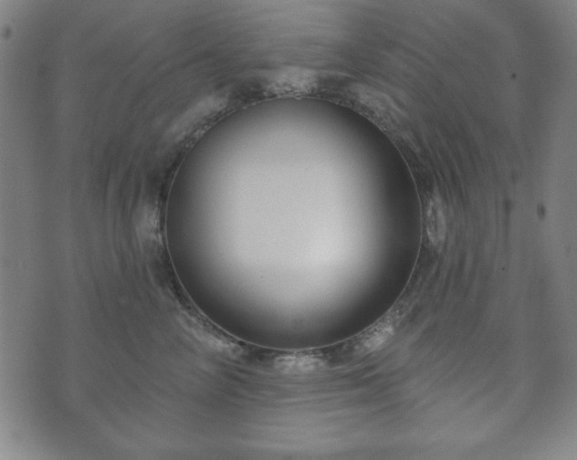 X0000073540714200608071055