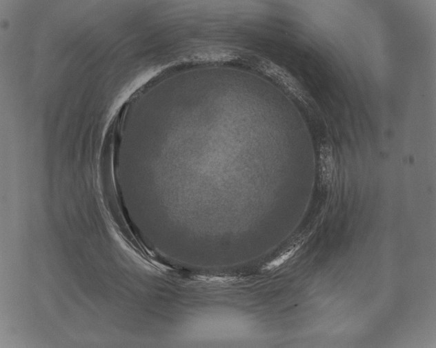 X0000073540726200608071055